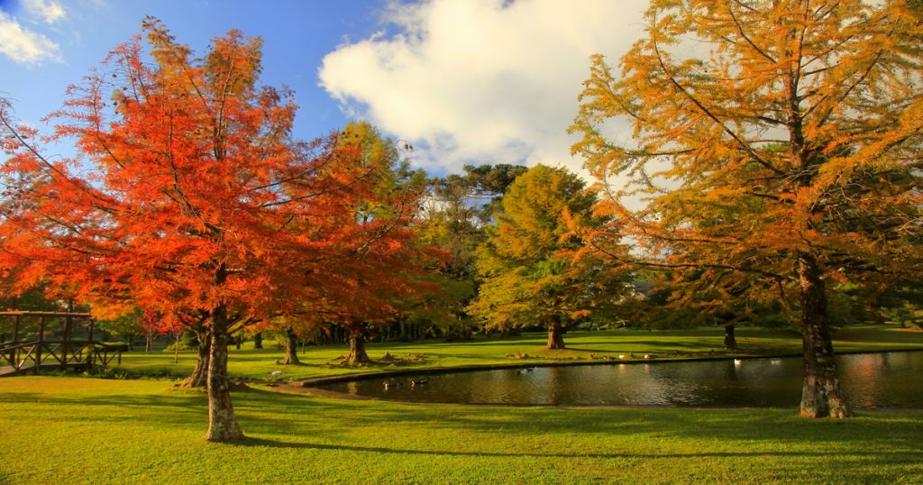 Destinos para curtir outono no Brasil Enjoy Trip