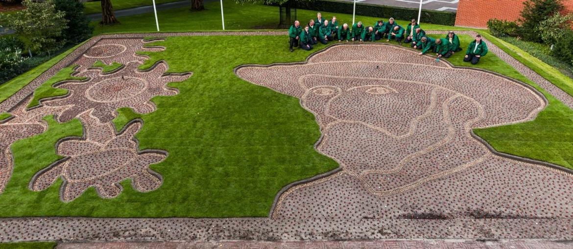 Parque Keukenhof homenageia Van Gogh